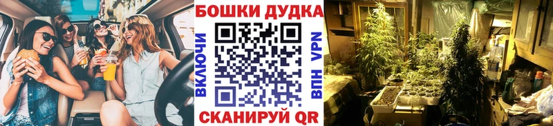 Бошки марихуана OG Kush  как найти закладки  гидра маркетплейс  Пролетарск 